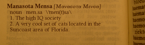 Websters definition, Manasota Mensa